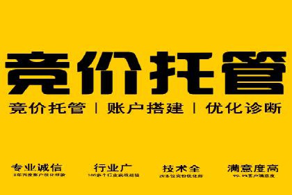 SEM推广公司案例：助力企业实现品牌价值提升